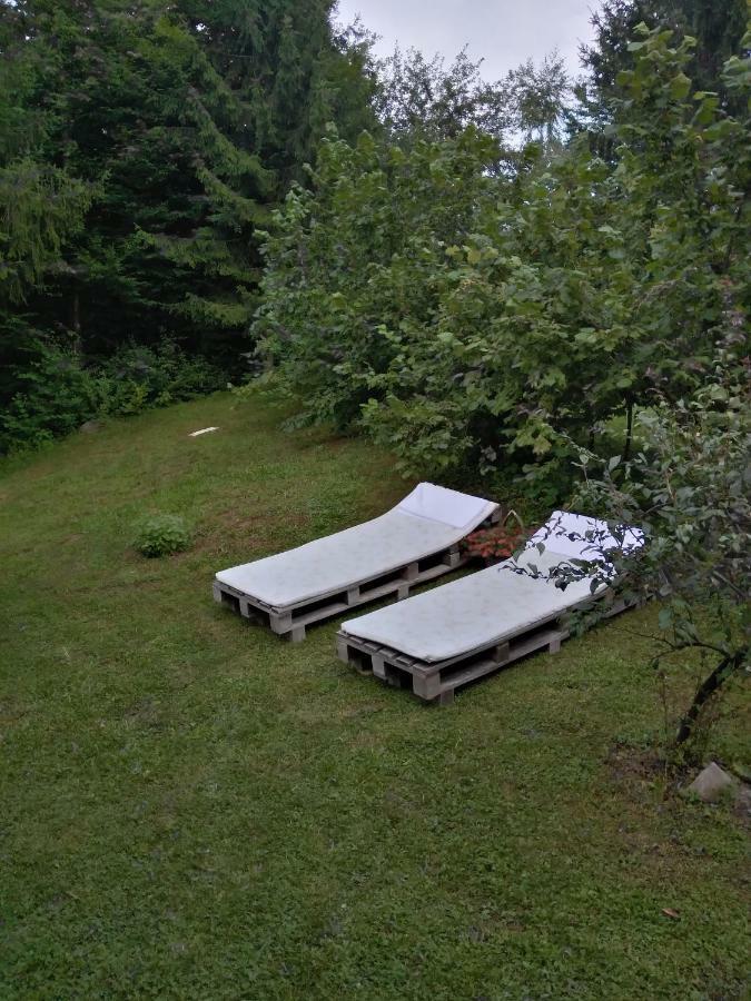 Dorina Hiza Holiday home *